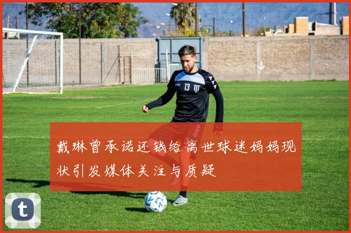 戴琳曾承诺还钱给离世球迷妈妈现状引发媒体关注与质疑