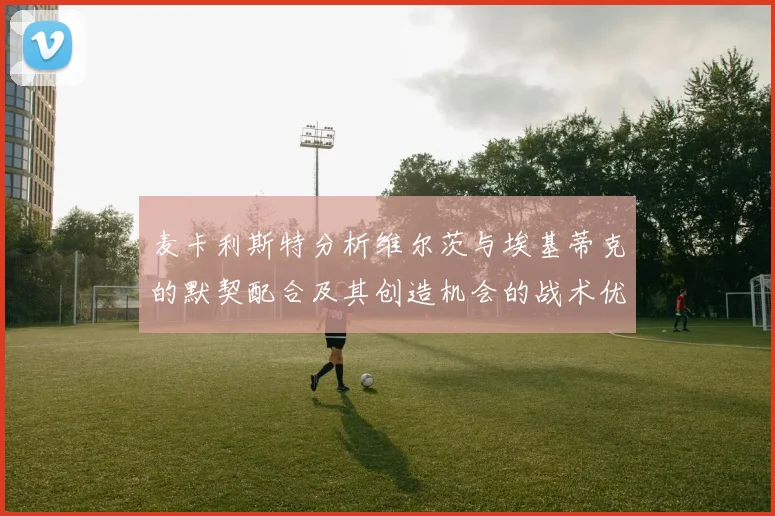 麦卡利斯特分析维尔茨与埃基蒂克的默契配合及其创造机会的战术优势