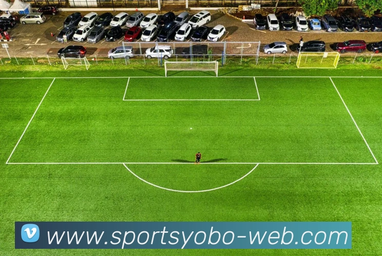 yobo体育发展历程